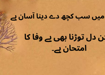 Romantic Shayari Urdu