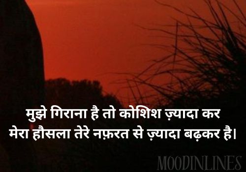 Shayari in English