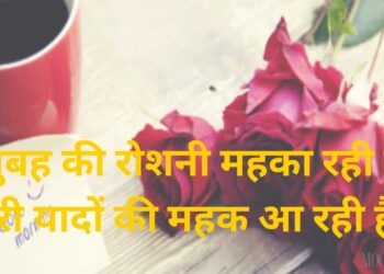 Love Shayari in Hindi