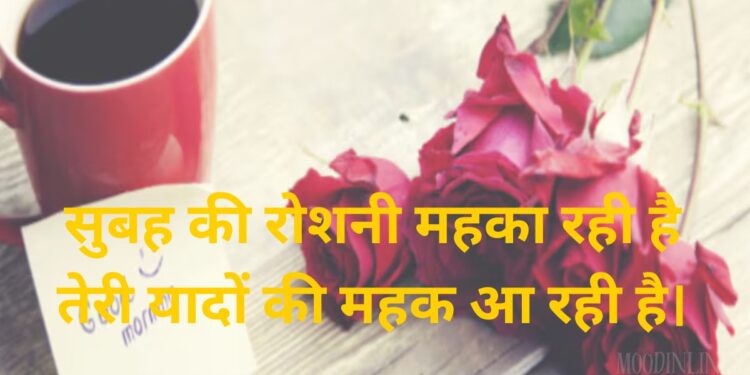 Love Shayari in Hindi