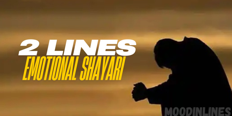 2 Line Emotional Shayari in Hindi on Life
