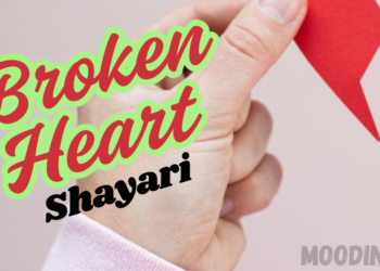 Broken Heart Shayari