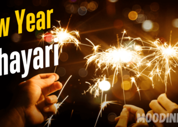 New Year Shayari