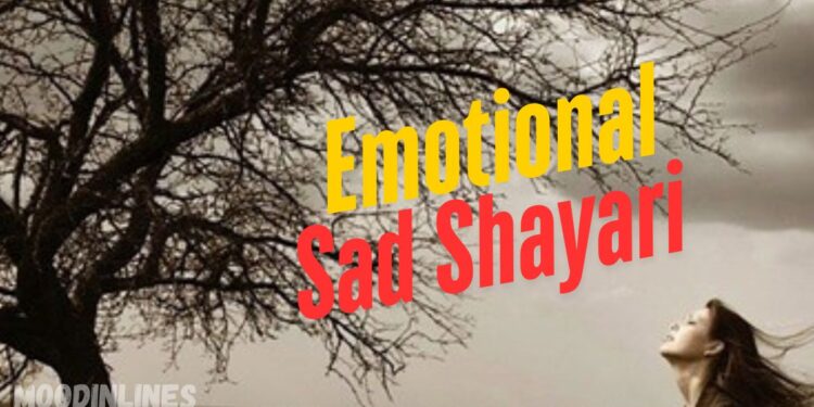 Emotional Sad Shayari​  