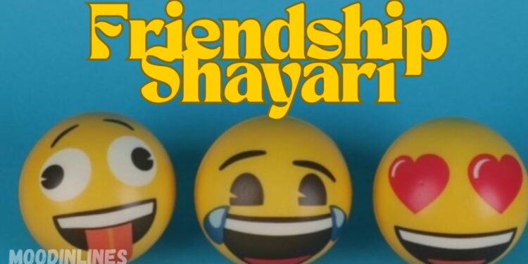 Funny Friendship Shayari
