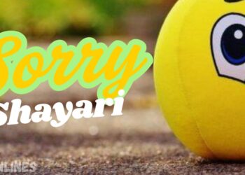 Sorry Shayari in Hindi
