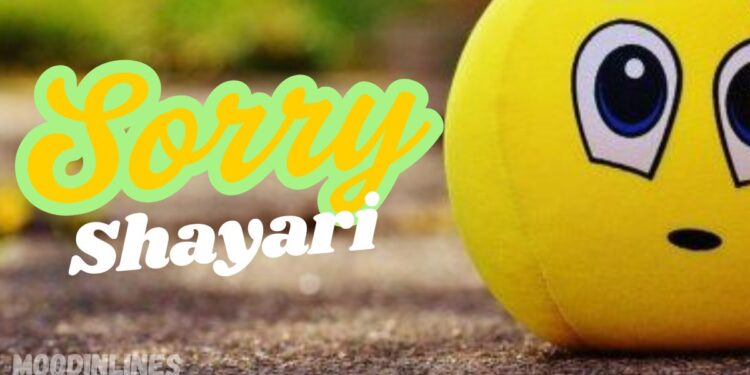 Sorry Shayari in Hindi