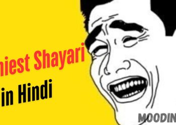 Funniest Shayari