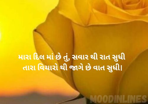 Good Morning Shayari