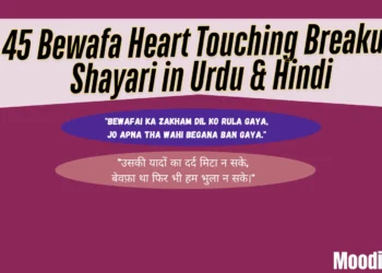 Bewafa Heart Touching Breakup Shayari