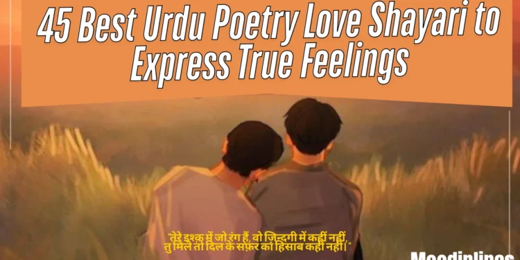 Urdu Poetry Love Shayari