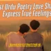 Urdu Poetry Love Shayari