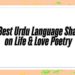 Urdu Language Shayari on Life