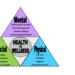 Health Triangle