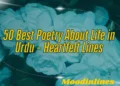 Poetry About Life in Urdu