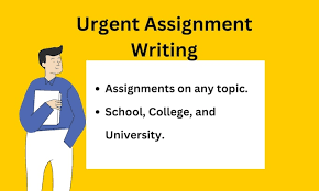 urgent assignment help