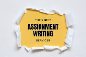 assignment writing service