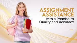 online assignment expert