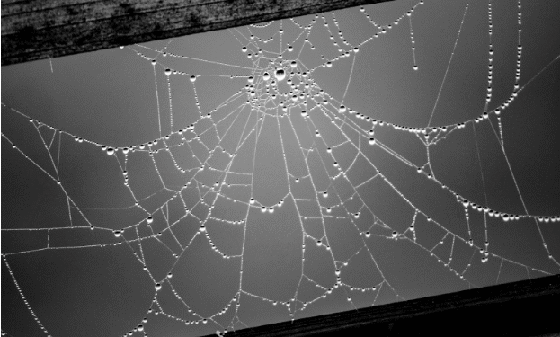 How Residential Proxies Improve Web Scraping Accuracy in 2026