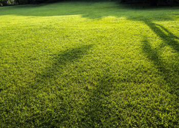 Healthier Lawns