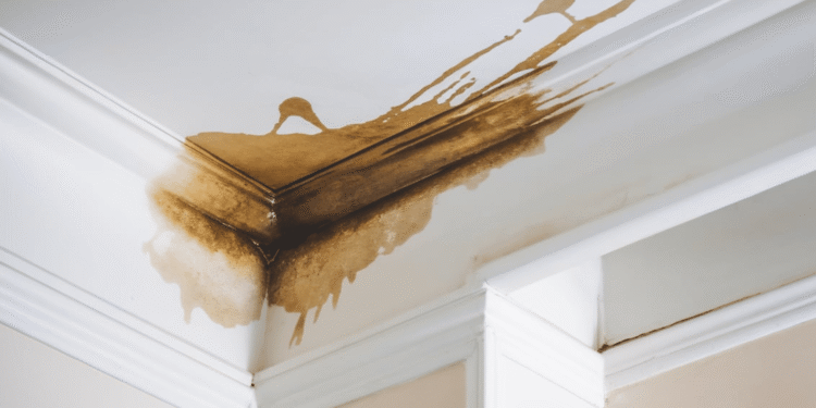 Water Damage